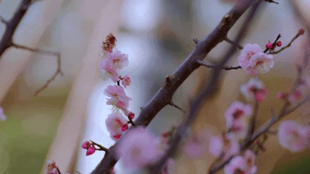 640 (5).gif