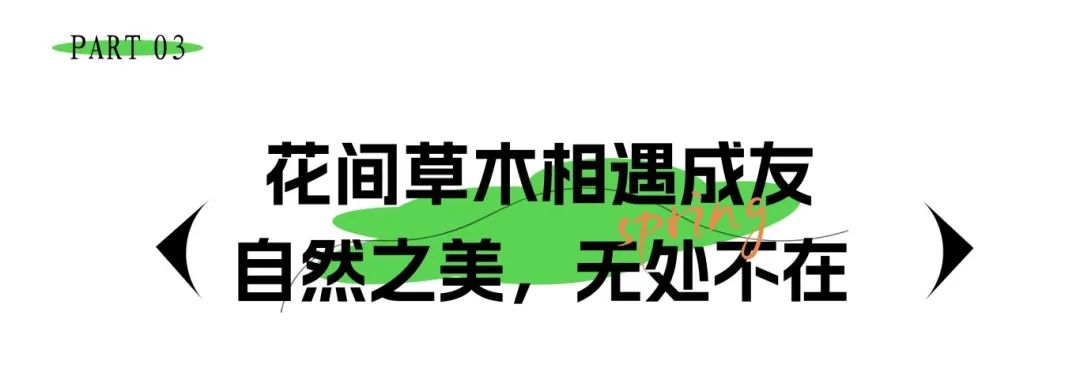 微信图片3.jpg